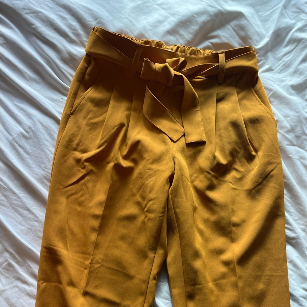 loft pants